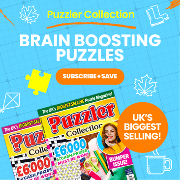 Puzzler Collection